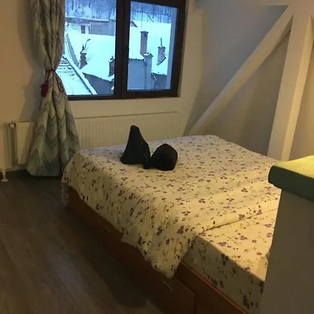 Fantasy Apartment Brasov